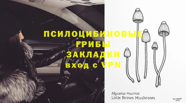 бутират Арсеньев