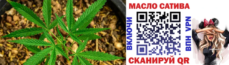 Купить где  Макарьев  ТГК концентрат 