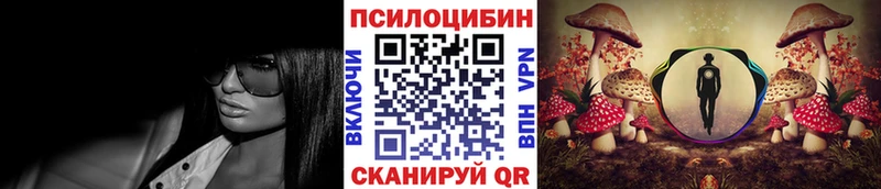 Псилоцибиновые грибы Psilocybe Макарьев